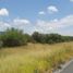  Land for sale in Doctor Gonzalez, Nuevo Leon, Doctor Gonzalez, Nuevo Leon