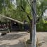 Maison 3 chambre à vendre à Cuajimalpa De Morelos, Mexico City, Cuajimalpa De Morelos