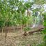  Land for sale in Ronda, Central Visayas, Ronda