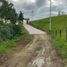  Land for sale in Salento, Quindio, Salento