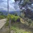  Land for sale in Salento, Quindio, Salento