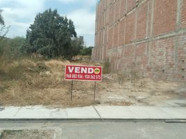 Terrain à vendre à Castilla, Piura, Castilla, Piura, Piura, Pérou