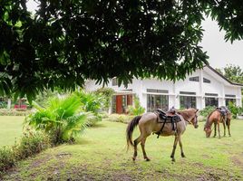 4 Schlafzimmer Haus zu verkaufen in Batangas, Calabarzon, Santo Tomas