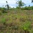  Land for sale in Moalboal, Cebu, Moalboal