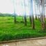  Land for sale in Cuenca, Azuay, Cuenca, Cuenca, Azuay