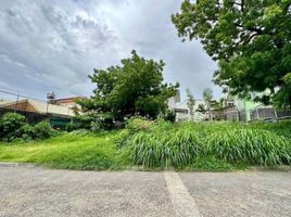  Land for sale in Paranaque City, Southern District, Paranaque City