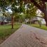  Terreno (Parcela) en venta en Castilla, Piura, Castilla, Piura, Piura