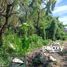  Land for sale in Selemadeg, Tabanan, Selemadeg