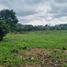  Land for sale in Santo Domingo De Los Colorados, Santo Domingo De Los Tsachilas, Santo Domingo De Los Colorados, Santo Domingo, Santo Domingo De Los Tsachilas