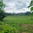  Land for sale in Santo Domingo De Los Colorados, Santo Domingo De Los Tsachilas, Santo Domingo De Los Colorados, Santo Domingo, Santo Domingo De Los Tsachilas