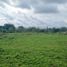  Land for sale in Santo Domingo De Los Colorados, Santo Domingo De Los Tsachilas, Santo Domingo De Los Colorados, Santo Domingo, Santo Domingo De Los Tsachilas