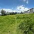  Terrain for sale in Cayambe, Pichincha, Cayambe, Cayambe