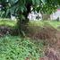 Terreno (Parcela) en venta en Quezon City, Metro Manila, Quezon City, Eastern District, Metro Manila