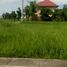  Land for sale at Carmel Ridge, Calamba City