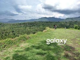  Land for sale in Manggis, Karangasem, Manggis