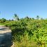 Land for sale in Cebu Central Visayas, Santa Fe
