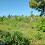  Land for sale in Cebu Central Visayas, Santa Fe
