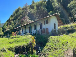  Villa zu verkaufen in Sabaneta, Antioquia, Sabaneta