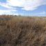  Land for sale in Tarimbaro, Michoacan, Tarimbaro
