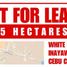  Land for rent in Cebu City, Central Visayas, Cebu City, Cebu, Central Visayas, Philippines