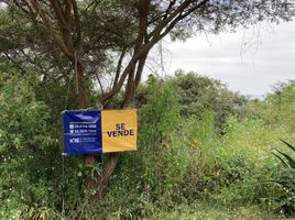  Grundstück zu verkaufen in Tapalpa, Jalisco, Tapalpa
