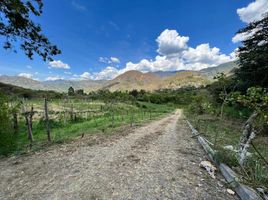  Land for sale in Vilcabamba Victoria, Loja, Vilcabamba Victoria, Loja, Loja