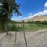  Land for sale in Vilcabamba Victoria, Loja, Vilcabamba Victoria, Loja, Loja