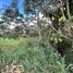  Land for sale in Vilcabamba Victoria, Loja, Vilcabamba Victoria, Loja, Loja
