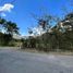  Land for sale in Vilcabamba Victoria, Loja, Vilcabamba Victoria, Loja, Loja