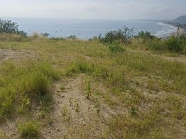  Land for sale in Puerto De Cayo, Jipijapa, Puerto De Cayo