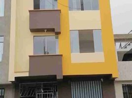 2 Schlafzimmer Appartement zu verkaufen in Carabayllo, Lima, Carabayllo, Lima, Lima