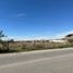 Terrain à louer à Hermosillo, Sonora, Hermosillo, Sonora