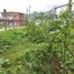  Terreno (Parcela) en venta en Xico, Veracruz, Xico