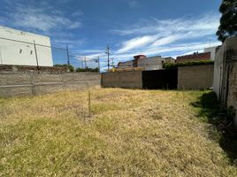 Terrain à vendre à Guadalajara, Jalisco, Guadalajara