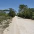  Land for sale in Tixkokob, Yucatan, Tixkokob