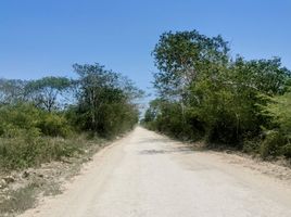  Land for sale in Tixkokob, Yucatan, Tixkokob