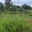  Terrain for sale in Maynas, Loreto, Iquitos, Maynas