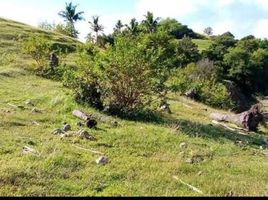  Grundstück zu verkaufen in Romblon, Mimaropa, Romblon, Romblon