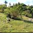  Grundstück zu verkaufen in Romblon, Mimaropa, Romblon, Romblon
