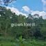 Terrain à vendre à Claveria, Northern Mindanao, Claveria