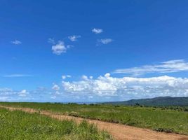  Land for sale in Bagac, Bataan, Bagac