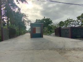  Land for sale in Amadeo, Cavite, Amadeo