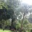  Villa zu verkaufen in Medellin, Antioquia, Medellin, Antioquia