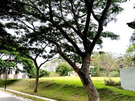  Land for sale in Cavite, Calabarzon, Silang, Cavite