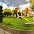3 Bedroom House for sale in San Andres Cholula Puebla, San Andres Cholula, Puebla