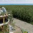 Appartement 3 chambre à vendre à Cozumel, Quintana Roo, Cozumel