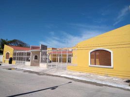 4 Schlafzimmer Haus zu verkaufen in Chicxulub Pueblo, Yucatan, Chicxulub Pueblo
