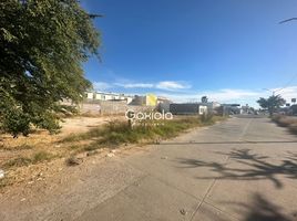 Terrain à louer à Culiacan, Sinaloa, Culiacan, Sinaloa