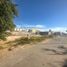  Land for rent in Culiacan, Sinaloa, Culiacan