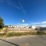  Land for rent in Culiacan, Sinaloa, Culiacan